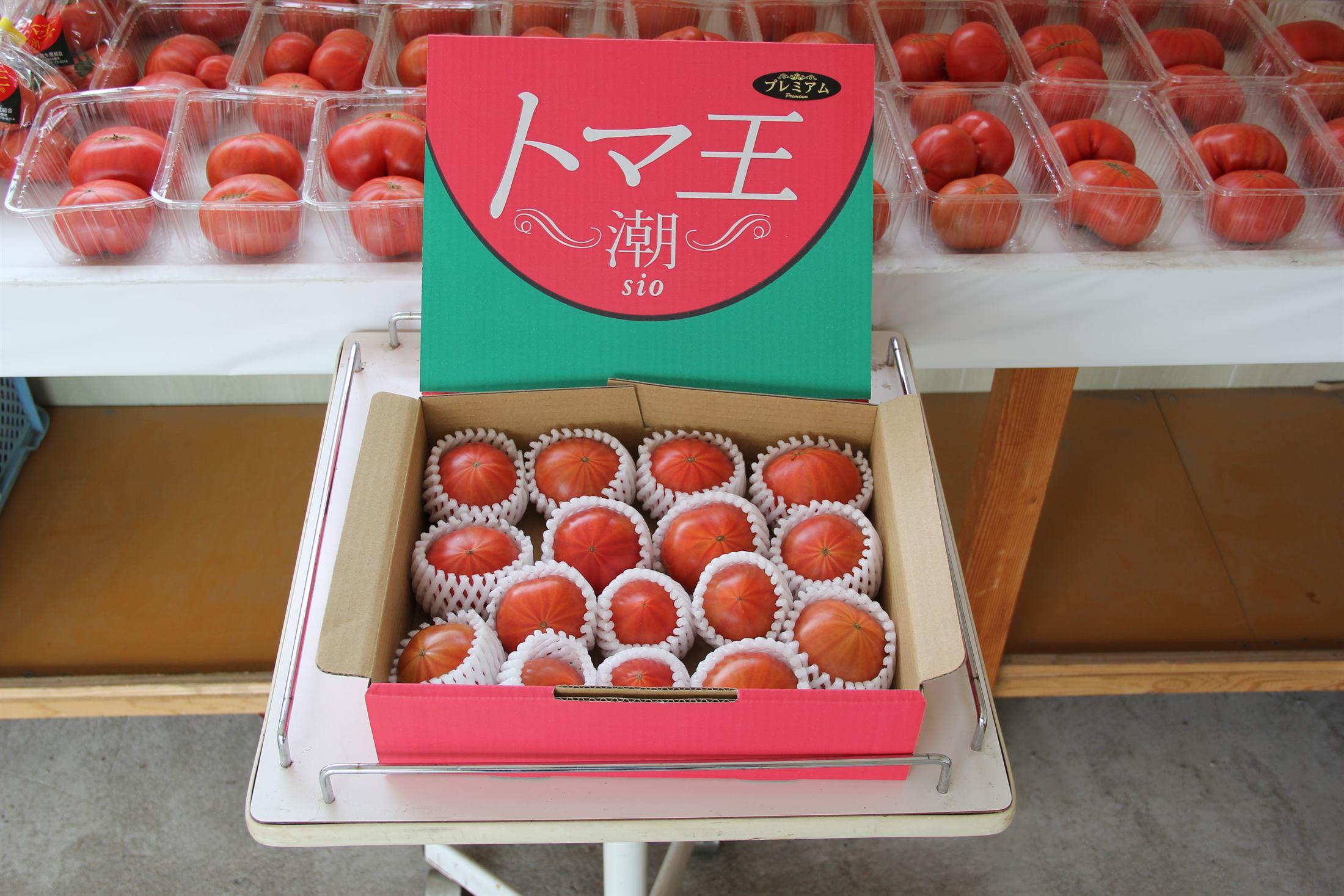潮トマトプレミアム